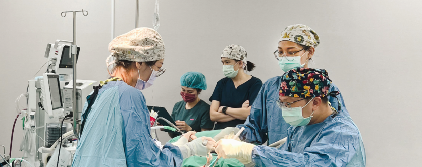 諾雅整形外科麻醉專科醫師團隊，手術安全有保障。