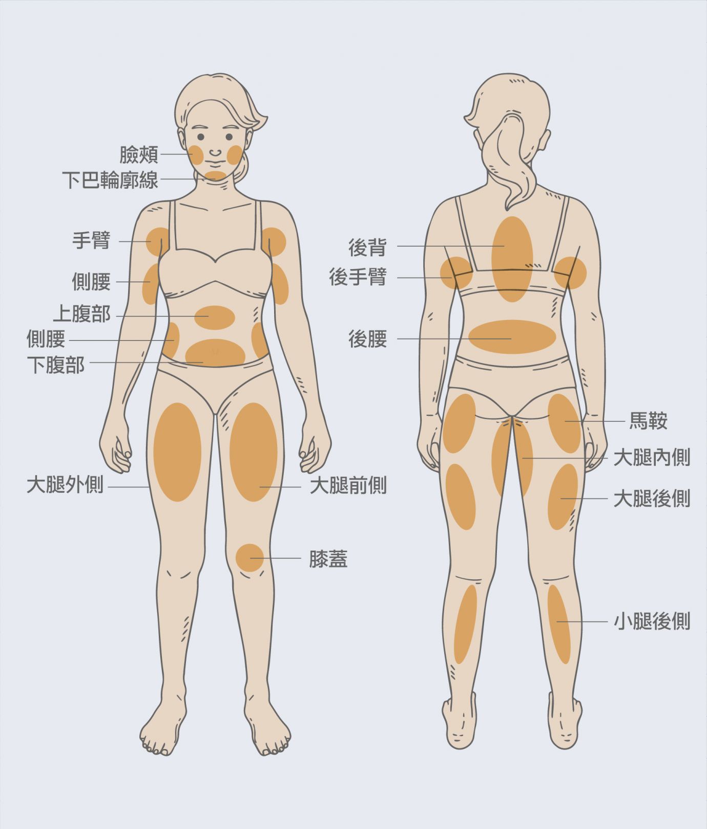 抽脂手術可以抽取的部位有哪些？